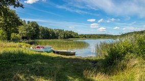 Jezioro Dybowskie - zdjęcie 8