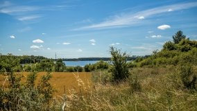 Jezioro Dybowskie - zdjęcie 6