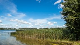 Jezioro Dybowskie - zdjęcie 4