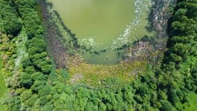 jezioro Pamer - zdjęcie 3