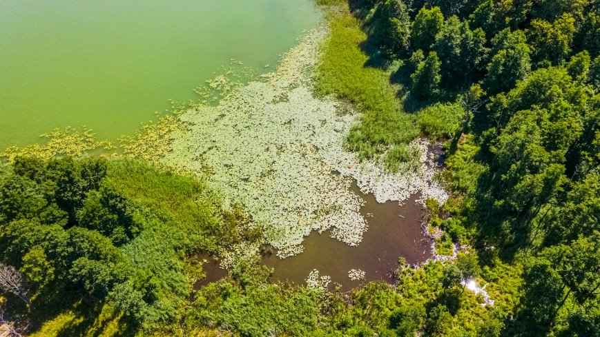 jezioro Ułówki - zdjęcie 1