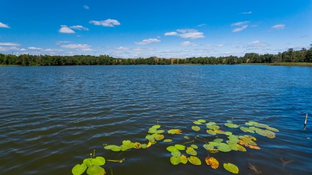 Okrągłe - zdjęcie 5