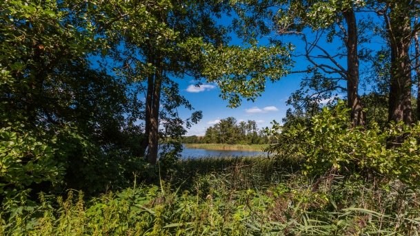 Okrągłe - zdjęcie 1