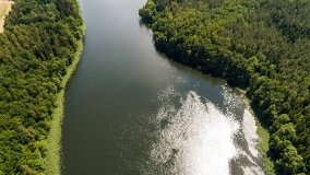 jezioro Dejnowo - zdjęcie 31