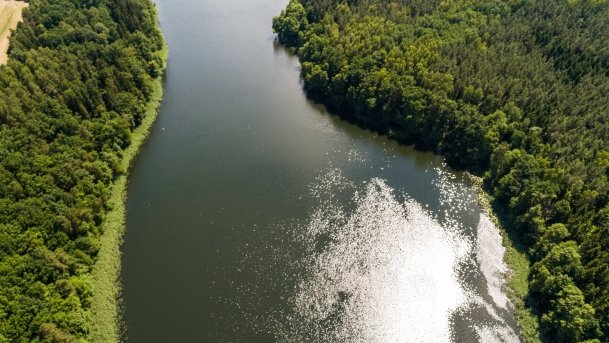 Dejnowo - zdjęcie 32