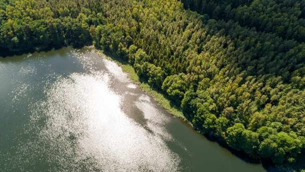 Dejnowo - zdjęcie 23