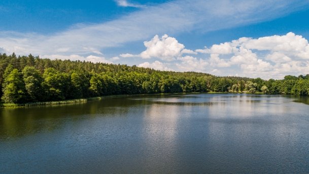 Dejnowo - zdjęcie 21