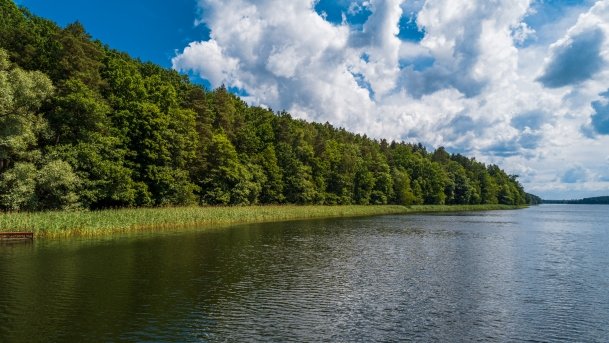 Dejnowo - zdjęcie 20