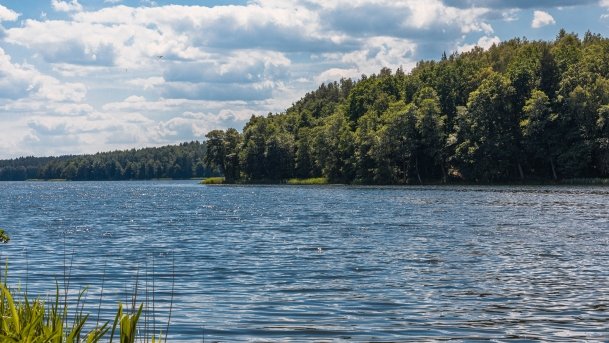 Dejnowo - zdjęcie 16