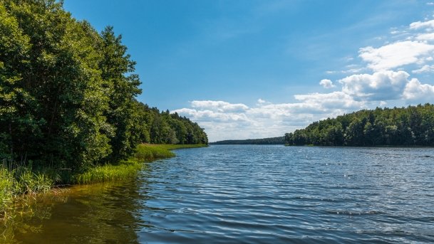 Dejnowo - zdjęcie 14