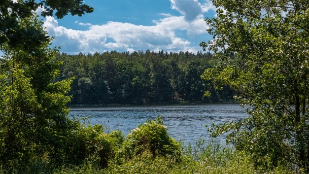 Dejnowo - zdjęcie 10