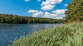 jezioro Dejnowo - zdjęcie 9