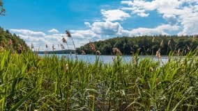 jezioro Dejnowo - zdjęcie 8