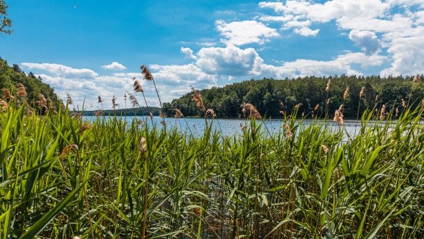 Dejnowo - zdjęcie 8