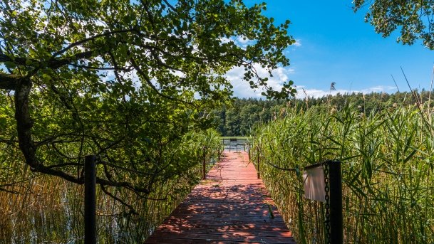 Dejnowo - zdjęcie 5