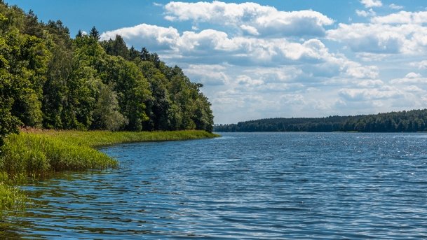 Dejnowo - zdjęcie 4