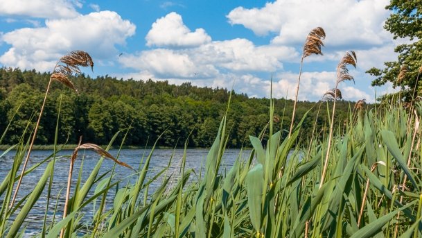 Dejnowo - zdjęcie 1