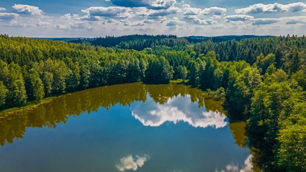 Ślepieniec - zdjęcie 14