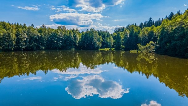 Ślepieniec - zdjęcie 13