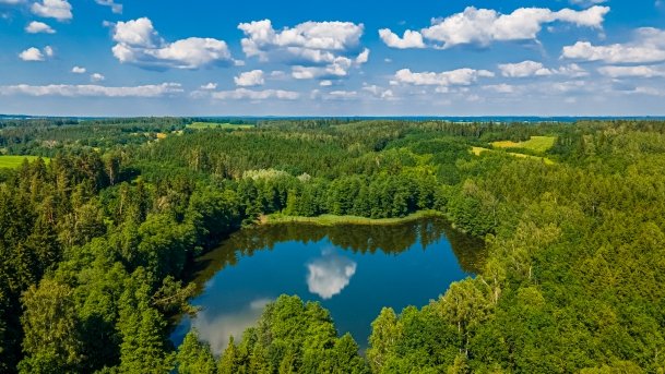 Ślepieniec - zdjęcie 11