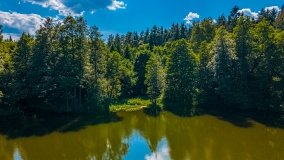 jezioro Ślepieniec - zdjęcie 5