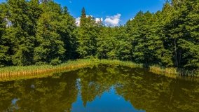 jezioro Ślepieniec - zdjęcie 4