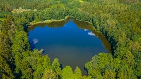 jezioro Ślepieniec - zdjęcie 2