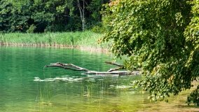 jezioro Ublik Mały - zdjęcie 35