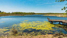 jezioro Duże Wilkasy - zdjęcie 27