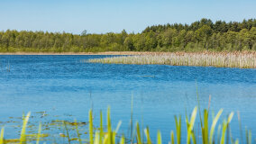 jezioro Duże Wilkasy - zdjęcie 26
