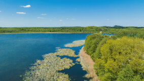 jezioro Duże Wilkasy - zdjęcie 23