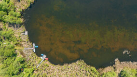 jezioro Duże Wilkasy - zdjęcie 14