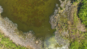 jezioro Duże Wilkasy - zdjęcie 12