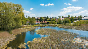 Wilkasy - zdjęcie 6