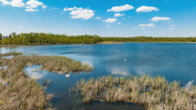 jezioro Duże Wilkasy - zdjęcie 3