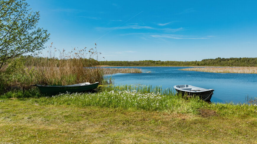 jezioro Duże Wilkasy - zdjęcie 1