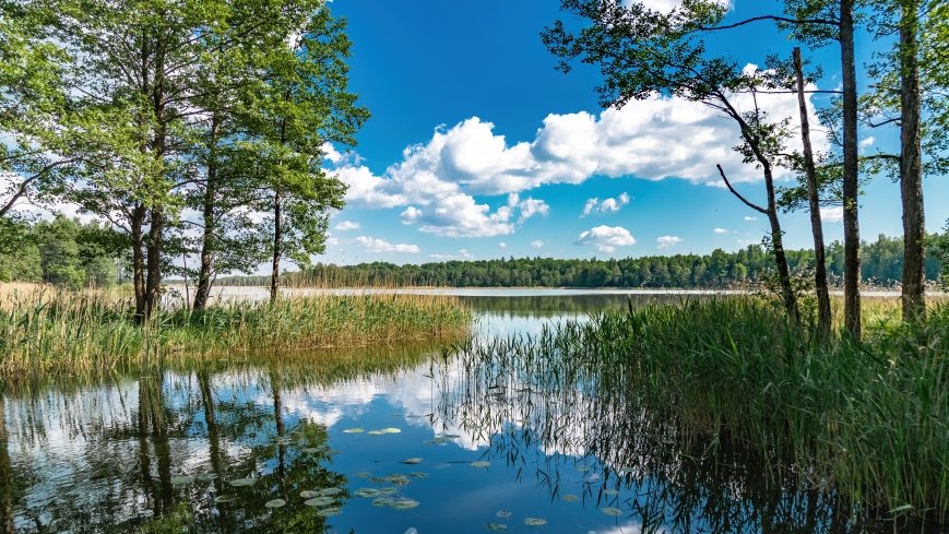 jezioro Litygajno - zdjęcie 1