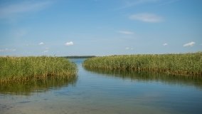 Jezioro Kocioł - zdjęcie 12