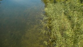 Jezioro Kocioł - zdjęcie 9