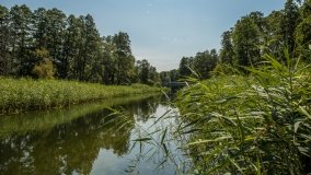 Jezioro Kocioł - zdjęcie 8