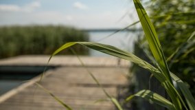 Jezioro Kocioł - zdjęcie 2