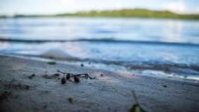 Jezioro Jegocin - zdjęcie 28