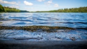 Jezioro Jegocin - zdjęcie 27