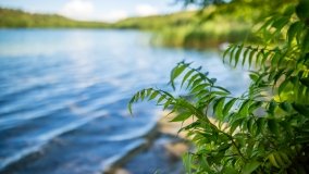 Jezioro Jegocin - zdjęcie 25