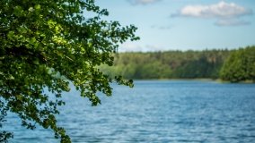 Jezioro Jegocin - zdjęcie 23