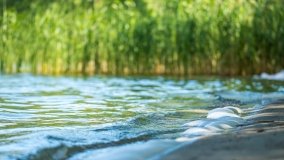 Jezioro Jegocin - zdjęcie 20