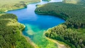 Jezioro Jegocin - zdjęcie 10