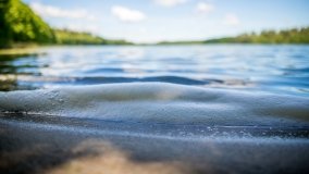 Jezioro Jegocin - zdjęcie 9