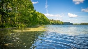 Jezioro Jegocin - zdjęcie 8