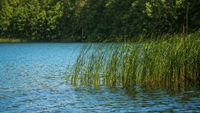 Jezioro Jegocin - zdjęcie 6